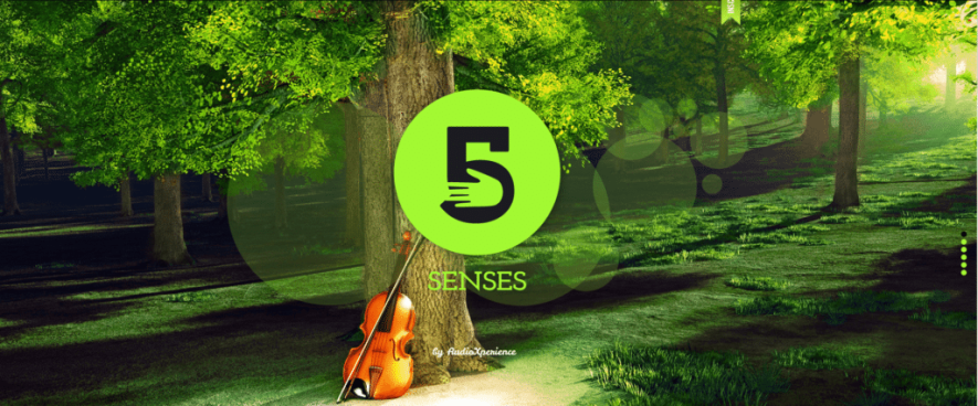 AudioXperience - 5 senses