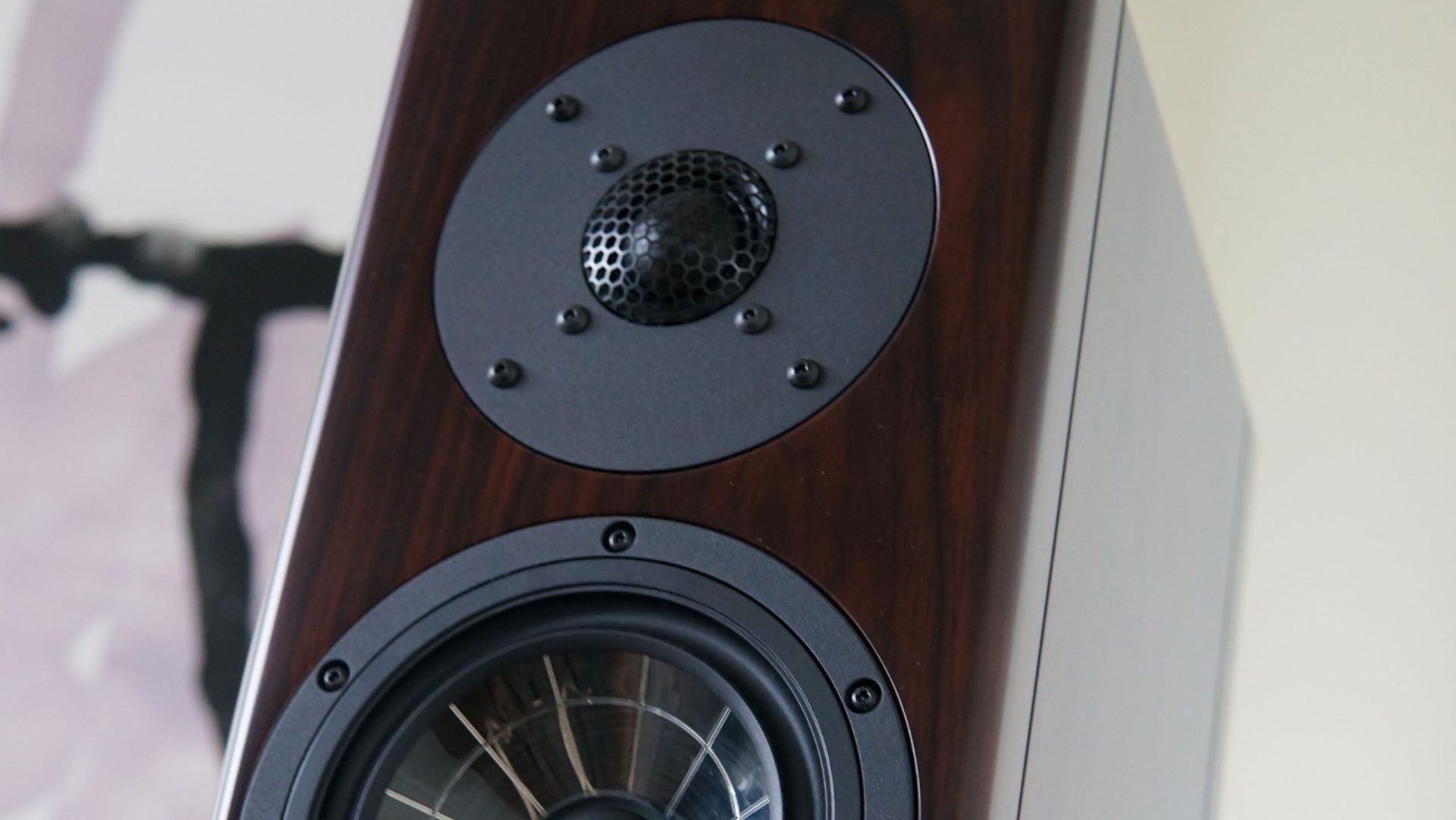 Review Vienna Acoustics Haydn SE Signature - Alpha Audio